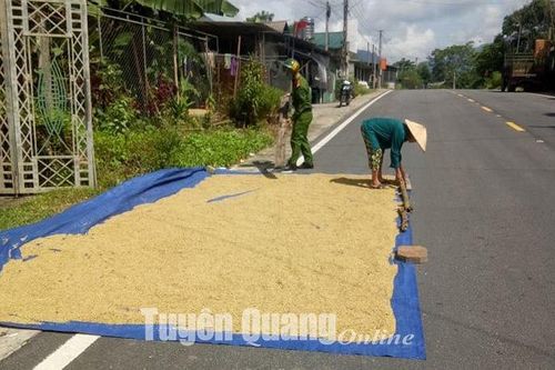 Ẩn họa từ phơi rơm rạ, thóc lúa trên đường