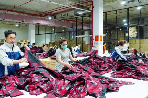 TNG: Doanh thu tiêu thụ tăng 177 tỷ đồng