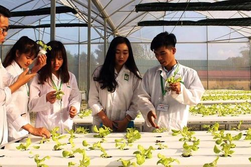 Nghiên cứu khoa học hướng đến ứng dụng vào đời sống