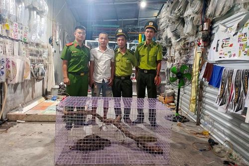 Thêm 1 động vật hoang dã nhóm IIB được người dân tự nguyện giao nộp