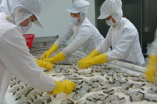 Thực phẩm Sao Ta (FMC): Doanh số tháng 9 tăng 25%, tập trung làm đơn hàng cao cấp
