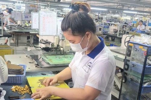 Tổng cục Thuế 'nhắc' đẩy mạnh xử lý hồ sơ hoàn thuế TNCN
