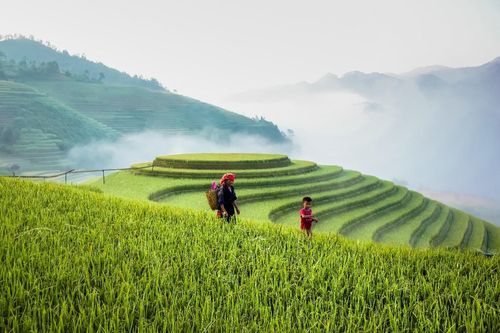 Mù Cang Chải - Ngày trở lại