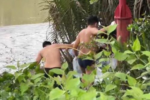 Thi thể cô gái trẻ kẹt trong đám dừa nước trên sông Rạch Chiếc