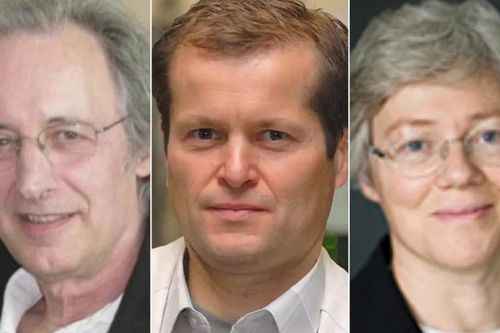 Ba nhà khoa học Mỹ, Đức và Thụy Điển đạt giải Nobel Vật lý 2023