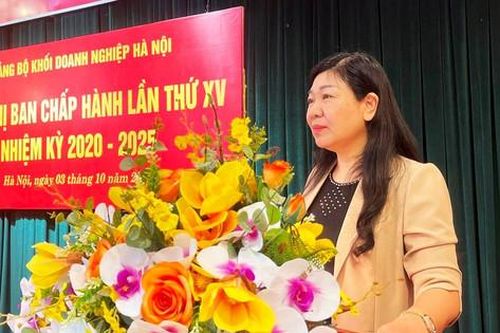 Các đơn vị trực thuộc Đảng bộ Khối doanh nghiệp Hà Nội nộp ngân sách ước đạt 2.900 tỷ đồng