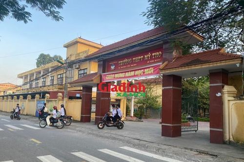 Vụ nam sinh trường THPT Mỹ Tho (Nam Định) bị 'đàn anh' đánh: Công an huyện vào cuộc