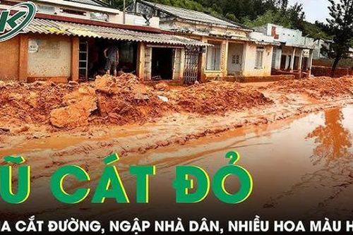 Lũ cát, bùn đỏ gây chia cắt đường, ngập nhiều nhà dân ở Bình Thuận