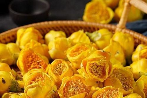 Trà hoa vàng – nữ hoàng của các loại trà và công dụng không phải ai cũng biết