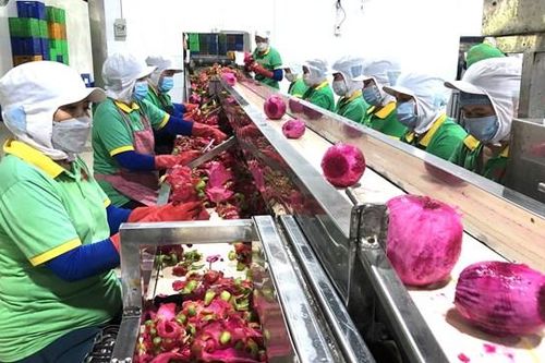 Chú trọng xây dựng chuỗi nông sản an toàn
