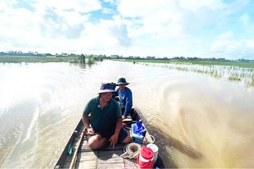 Săn sản vật mùa 'lũ chậm'