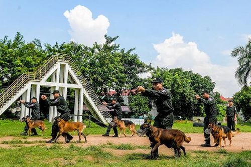Nơi đào tạo công cụ hỗ trợ đặc biệt
