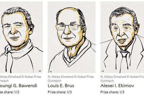 Nghiên cứu về công nghệ nano giành giải Nobel Hóa học 2023