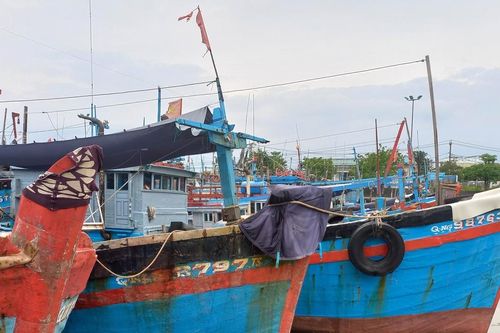 Quảng Ngãi: Phạt chủ tàu cá hơn 853 triệu đồng vi phạm lĩnh vực thủy sản
