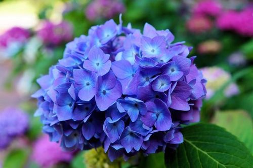 Trẻ sinh vào giờ này dũng cảm, tháo vát, về sau thành công hơn người