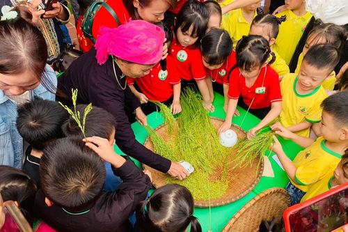 Trẻ mầm non Lào Cai trải nghiệm Ngày hội 'Hương cốm mùa thu'