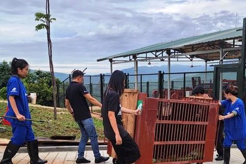 Tiếp nhận 2 cá thể gấu đầu tiên mang tên phi công nổi tiếng Armstrong và Buzz