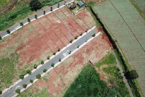 Lâm Đồng sẽ xử lý dự án 'ma' rao bán rầm rộ trên mạng xã hội