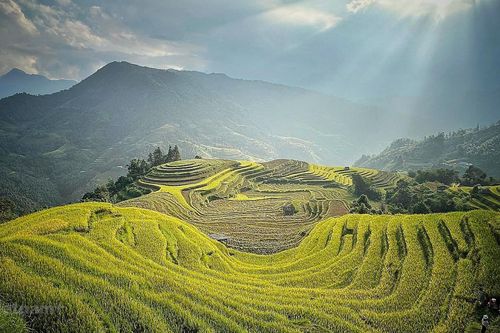 Trải nghiệm khác biệt từ những 'nấc thang thiên đường' vùng Tây Bắc