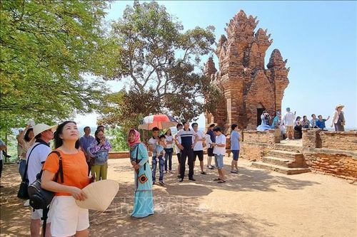Du lịch Ninh Thuận phục hồi đà tăng trưởng nhanh