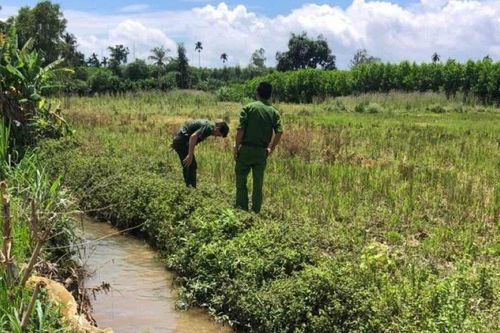 Bình Thuận: Người phụ nữ tử vong khi đi bắt cua đồng ngoài đồng ruộng