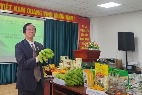 Hợp tác xã Lâm Đồng – Hà Nội liên kết mở rộng thị trường tiêu thụ sản phẩm