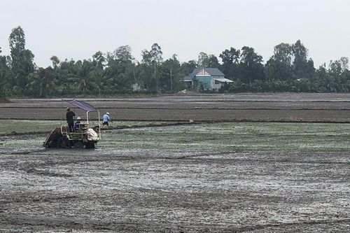 Huyện Cao Lãnh thực hiện tái cơ cấu ngành nông nghiệp gắn với xây dựng nông thôn mới