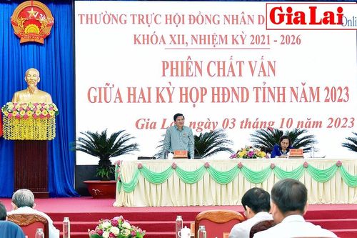 Phiên chất vấn giữa 2 kỳ họp HĐND tỉnh Gia Lai: Giải quyết nhiều vấn đề bất cập, tồn tại
