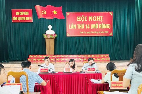 Đảng bộ huyện Đak Pơ kết nạp được 50 đảng viên mới