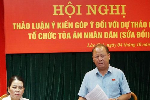 Thảo luận lấy ý kiến góp ý đối với dự thảo Luật Tổ chức TAND (sửa đổi)