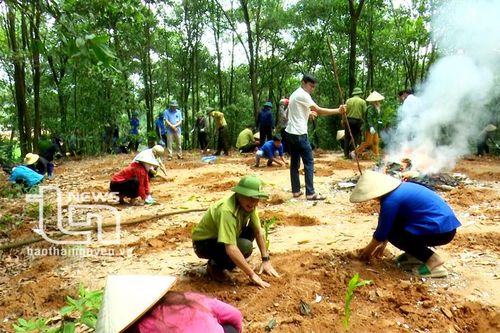 Quyết liệt xử lý công trình dựng trái phép trên núi Tung