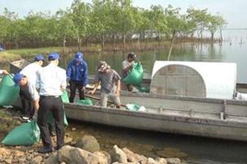 Kiến nghị giải pháp thúc đẩy việc thực hiện kinh tế tuần hoàn
