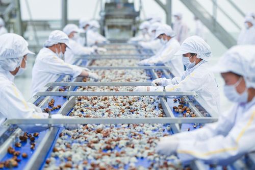 PMI ngành sản xuất lại quay đầu về dưới 50 điểm dù đơn đặt hàng vẫn tăng