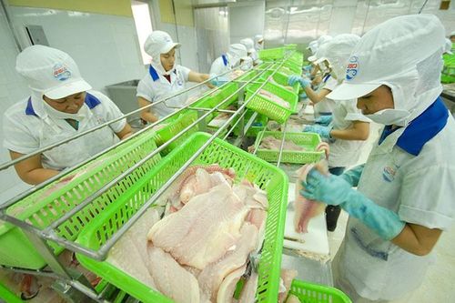 Gói tín dụng lãi suất ưu đãi cho lâm, thủy sản đã triển khai được 5,5 nghìn tỷ đồng