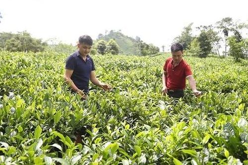 Nông thôn mới trên thung lũng Mường Hum