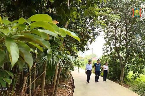 Hiến đất để xây dựng nông thôn mới | Người tốt quanh ta | 04/10/2023