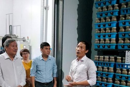 Hà Nội mới chỉ có một doanh nghiệp nông nghiệp công nghệ cao