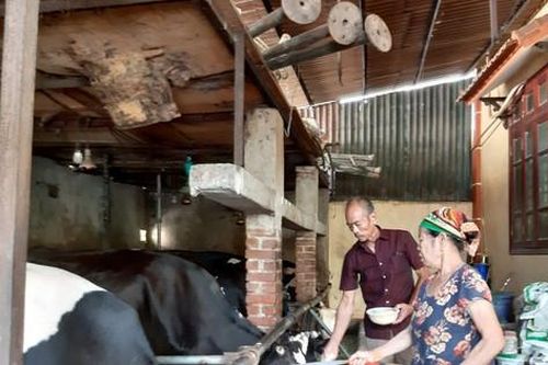 Hà Nội đặt mục tiêu tái chế chất thải chăn nuôi thành sản phẩm thân thiện môi trường