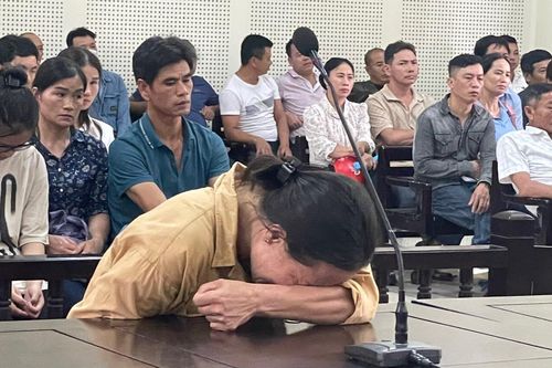Người vợ bị ung thư quỳ gối xin lỗi gia đình bị hại trong phiên xét xử chồng