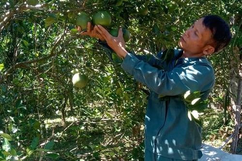 Người dẫn dắt phong trào ở Ta Rung