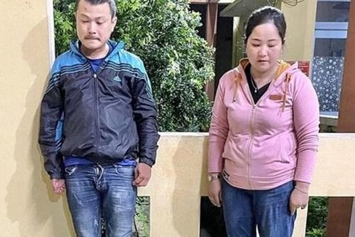 Quảng Nam: Tạm giữ 2 người mua bán động vật hoang dã trái phép