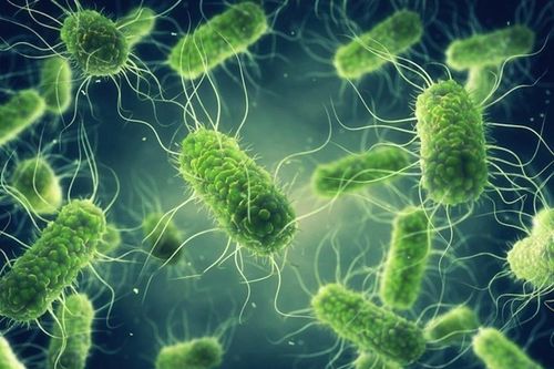 Đã tìm thấy chủng loại vi khuẩn gây ngộ độc