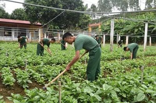 Vượt khó, sáng tạo trong bảo đảm hậu cần