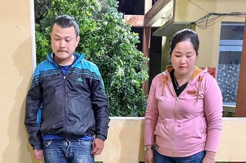 Bắt 2 đối tượng mua bán động vật nguy cấp, quý hiếm
