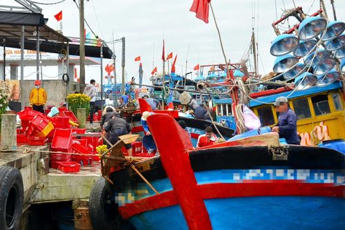 Phạt nặng chủ tàu cá khai thác thủy sản không phép