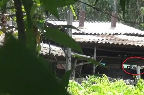 Clip lần theo các xe thu mua nhớt thải đến các lò nấu dầu trái phép ở ngoại thành TPHCM