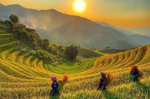 Ruộng bậc thang Hoàng Su Phì - Kiệt tác thiên nhiên nơi địa đầu Tổ quốc