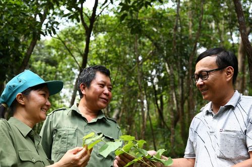Trao quyền cho phụ nữ trong phát triển lâm nghiệp