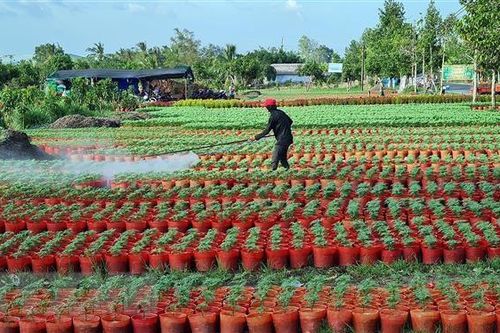 Sóc Trăng huy động trên 8.300 tỷ đồng xây dựng Nông thôn Mới