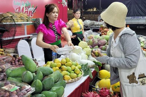 Đầu ra sản phẩm miền núi: 'Vẫn đi đường vòng' để lên kệ siêu thị